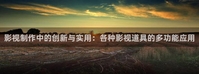 国产探花视频免费看：影视制作中的创新与实用：各种影视道具的多功能应用