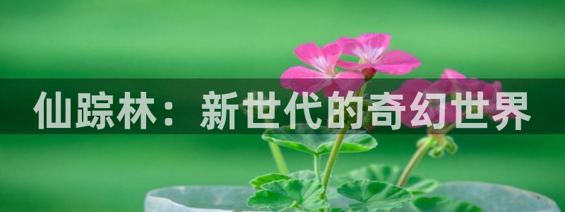 探花视频免费观看：仙踪林：新世代的奇幻世界