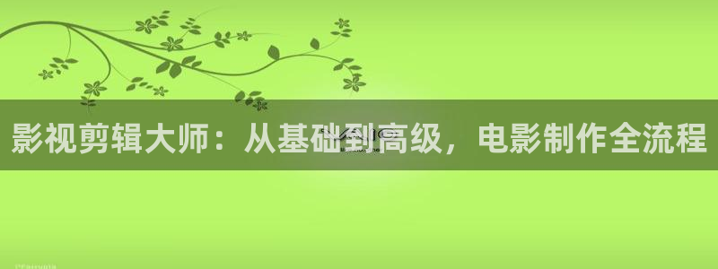 探花视频在线版播放免费观看：影视剪辑大师：从基础到高级，电影制作全流程
