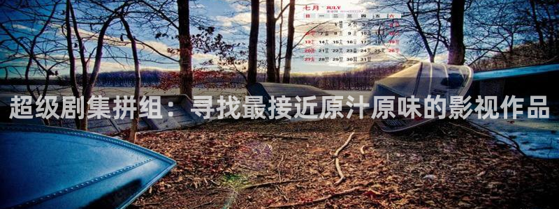 在线视频 探花：超级剧集拼组：寻找最接近原汁原味的影视作品