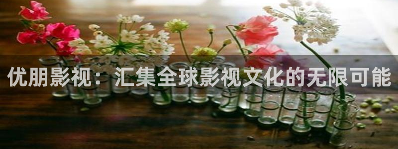 探花视频网站：优朋影视：汇集全球影视文化的无限可能