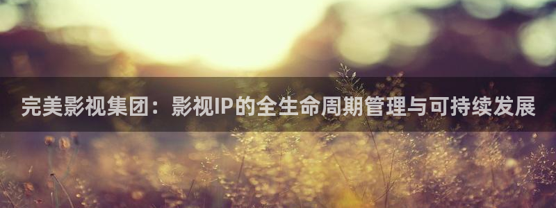 探花系列电影：完美影视集团：影视IP的全生命周期管理与可持续发展