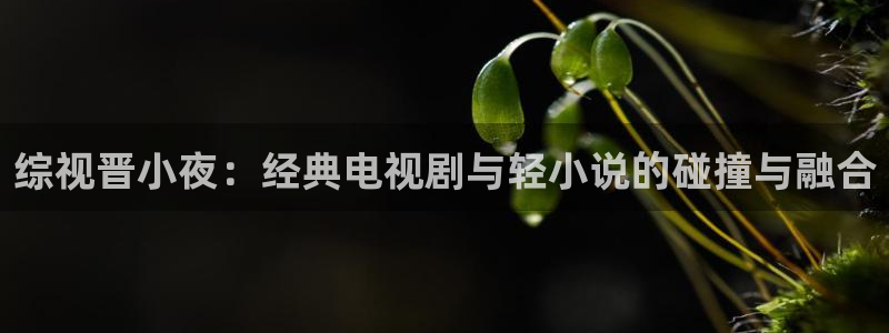 国产视频 探花：综视晋小夜：经典电视剧与轻小说的碰撞与融合