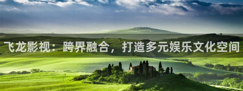 探花视频免费观看+在线观看：飞龙影视：跨界融合，打造多元娱乐文化空间