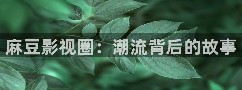 探花系列在线观看免费视频www：麻豆影视圈：潮流背后的故事