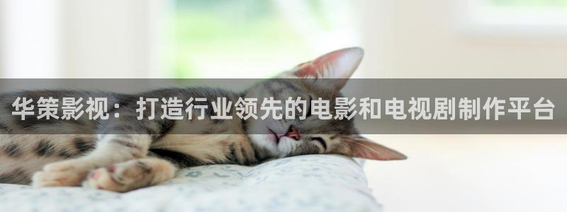 国内探花在线视频：华策影视：打造行业领先的电影和电视剧制作平台