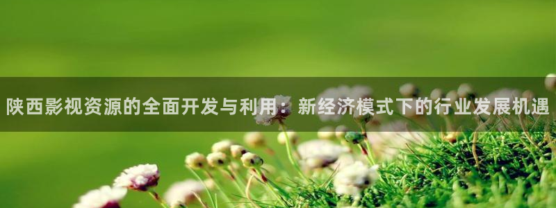 日本探花视频：陕西影视资源的全面开发与利用：新经济模式下的行业发展机遇