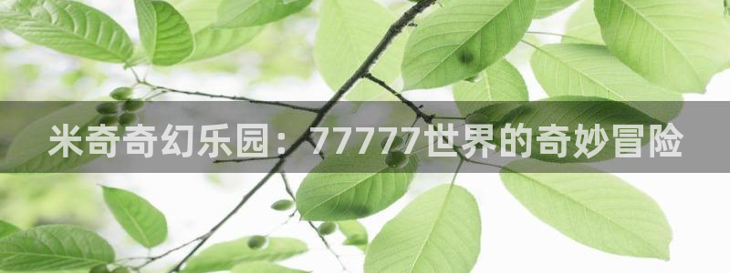 国产视频 探花：米奇奇幻乐园：77777世界的奇妙冒险